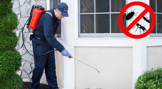 Yavuzeli Akrep İlaçlama böcek ilaçlama ve haşere kontrolü — ilaclama-tr.com